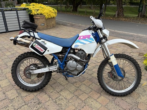 Suzuki dr250s 1991 dual - dr250s,
